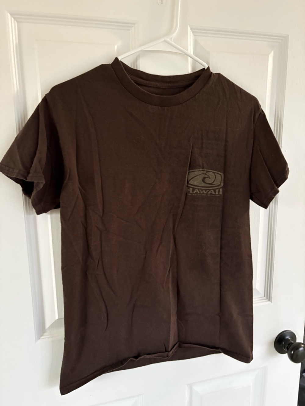 Brown Hawaii Graphic T-Shirt